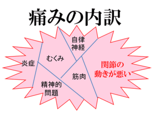 【春日部のやぎはし整体院】関節運動が乱れると、腰痛が生じやすい