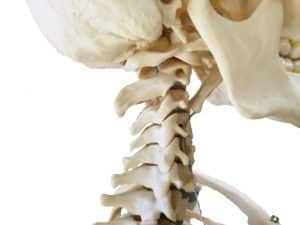 【春日部の凄腕整体院が解説！】ストレートネックで全身に起こること